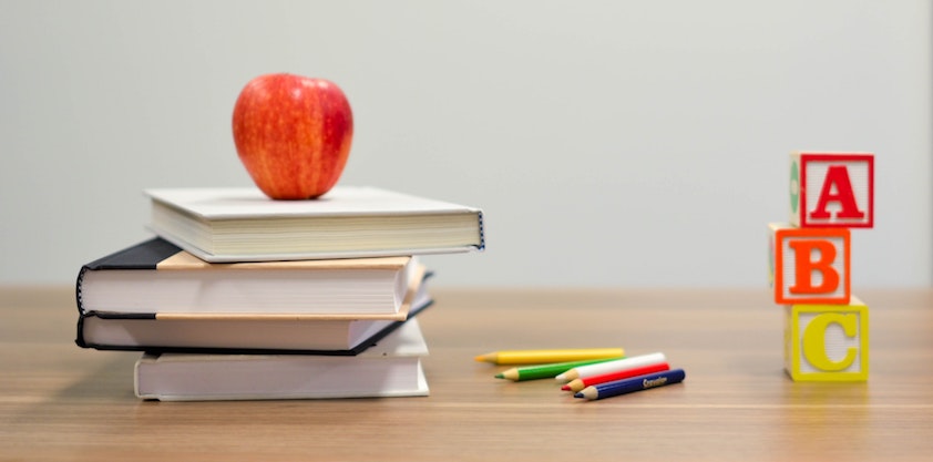 Éducation à la petite enfance : le gouvernement fédéral appelé à investir massivement